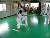 tya2k (116)_samu.gif